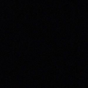 Meet your Posher, Vicenta